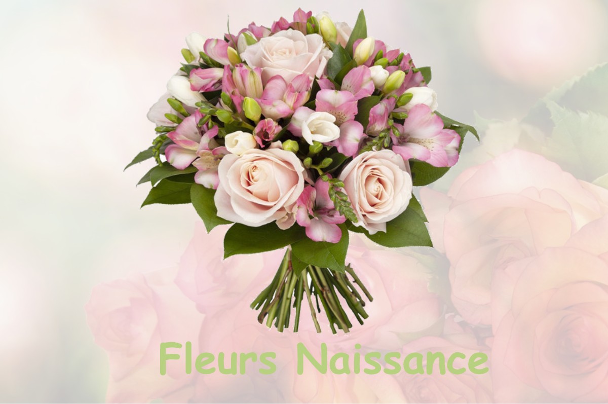 fleurs naissance MARTRES-TOLOSANE