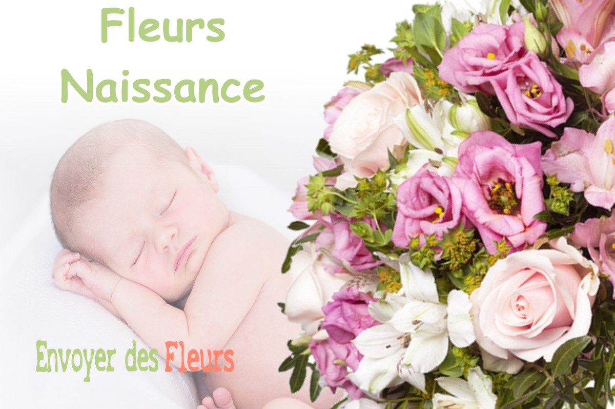 lIVRAISON FLEURS NAISSANCE à MARTRES-TOLOSANE